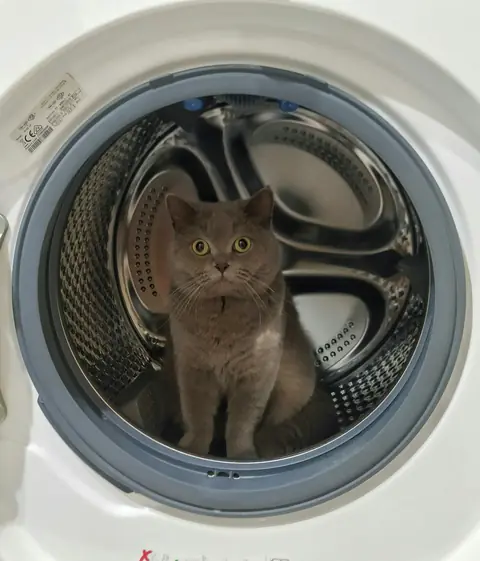 Lina, çamaşır makinesinin tamburunda oturuyor